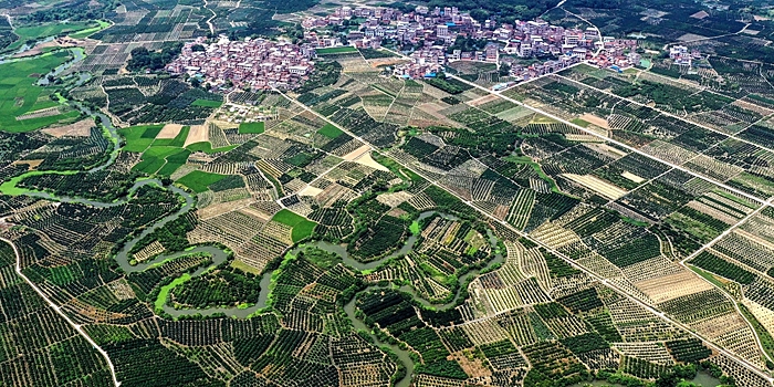 Вид сверху на мандариновые сады района Умин