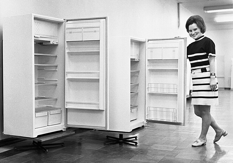 Мечта хозяйки - холодильник "Бирюса-17" - оценивался в 460 руб. 