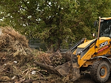 В Волгоградской области решен вопрос с утилизацией растительных отходов