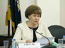 Гигель: на развитие лесного хозяйства необходимо 93 миллиарда рублей