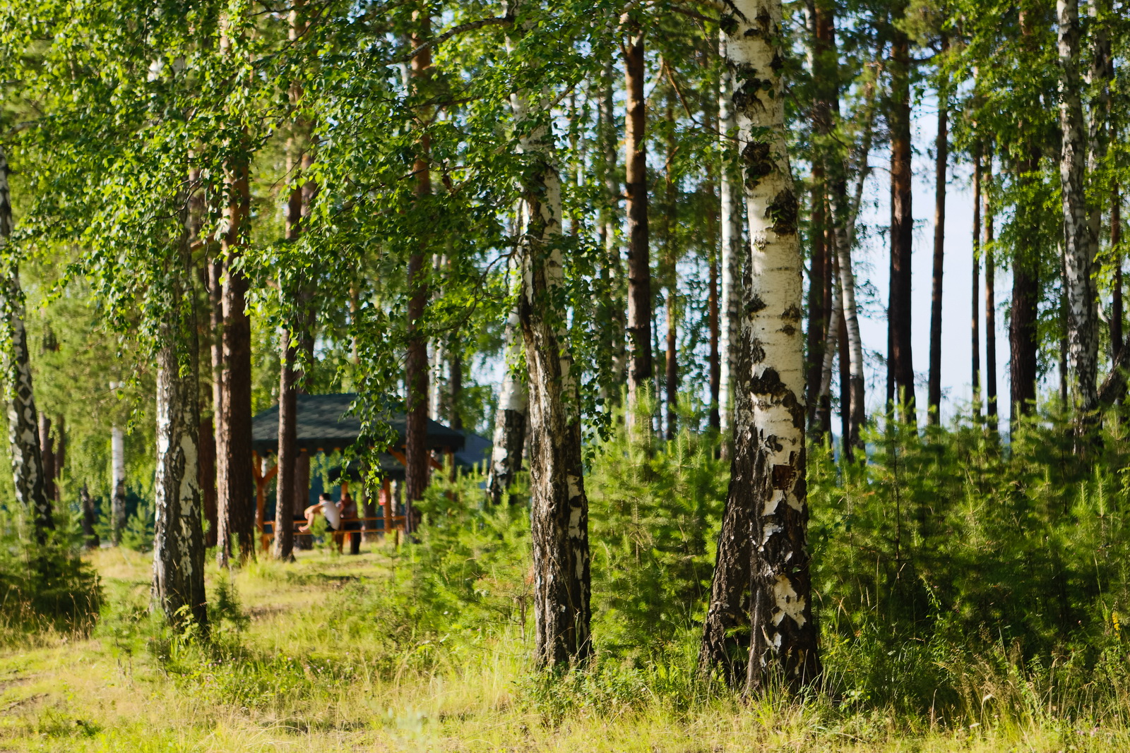 GreenPark - парк культурного отдыха, Россия, Европа