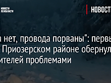 "Света нет, провода порваны": первый снег в Приозерском районе обернулся для жителей проблемами