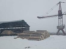 В Красноярском крае полицейские выявили незаконную контрабанду пиломатериалов на 96 млн рублей