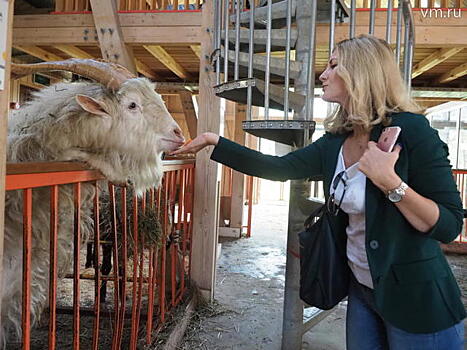 Москвичей научат доить коров на мастер-классах в «Городской ферме»