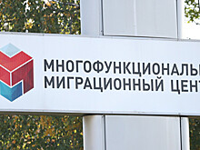 МВД России рассматривает возможность введения четырех новых видов виз для иностранцев