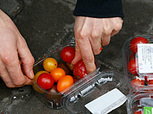 В России призвали отменить НДС для отданных на благотворительность продуктов