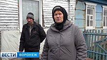 «Просила помощи 8 месяцев». Семья убитой в воронежском селе женщины о бездействии силовиков