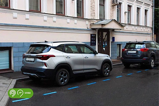 В дептрансе рассказали, что означает новая синяя разметка на дорогах Москвы