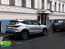 В дептрансе рассказали, что означает новая синяя разметка на дорогах Москвы