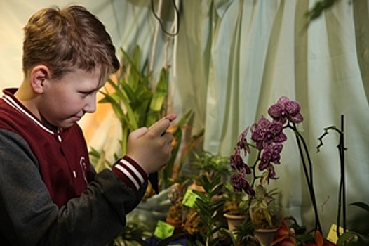«Новогодняя выставка орхидей» собрала 1500 человек