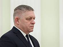 В Госдуме высказались о заявлении Фицо про парад 9 мая в Москве