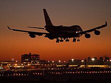 Жительница США из-за боязни летать возит с собой утку-компаньона