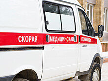 Дежурные бригады скорой помощи в Петербурге перевели в режим повышенной готовности