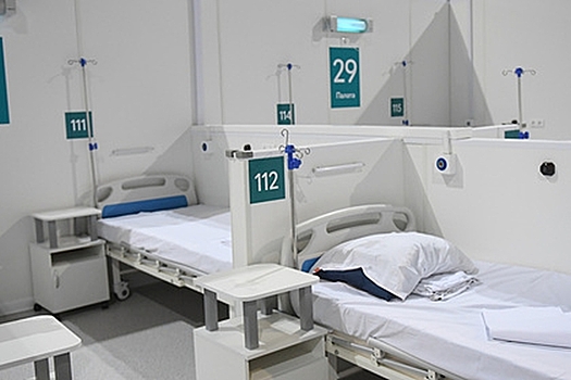 В России за сутки умерли 383 пациента с коронавирусом