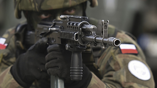 Рогов заявил о подготовке польских военных к отправке на Украину