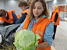 В России начали раздавать излишки сельскохозяйственных продуктов нуждающимся семьям: Новости ➕1, 29.09.2022