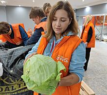 В России начали раздавать излишки сельскохозяйственных продуктов нуждающимся семьям: Новости ➕1, 29.09.2022