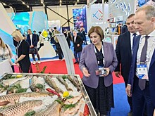 Ростовская область заявила о своих достижениях на Международном рыбопромышленном форуме