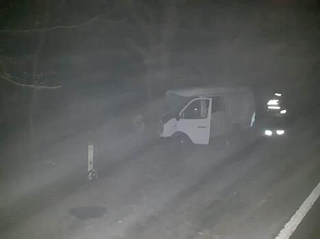 Во время сильного тумана на трассе в Краснодарском крае «Газель» влетела в дерево