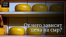 Сыровар Олег Сирота рассказал о ценах на коров в России после подорожания молока