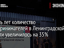 За пять лет количество предпринимателей в Ленинградской области увеличилось на 35%