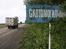 Казахстан объявили свободной от ящура зоной