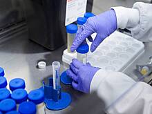 Вирусолог рассказал о десятках мутаций в новом штамме коронавируса