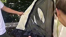 Медведь разгромил палаточный лагерь в Сочи: видео