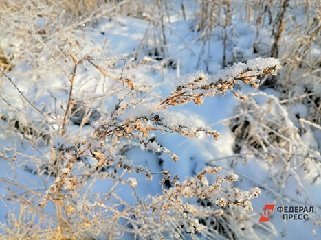 Приморцев ждет самая холодная ночь: температура опустится до –16 градусов