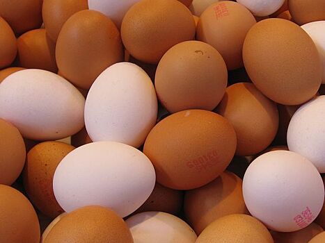 Роспотребнадзор не обнаружил фальшивых куриных яиц в Подмосковье