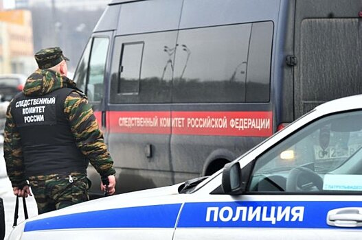 СК возбудил уголовное дело после обнаружения фрагментов тела человека в Москве-реке в Раменском районе