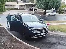 Отец отбил двухлетнюю дочь у набросившегося на нее койота