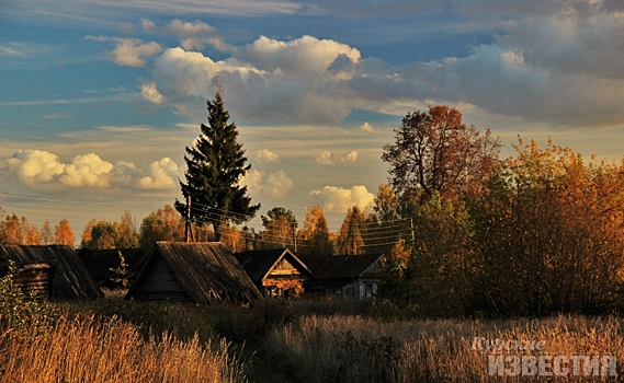 В Курской области стартовал исторический квест по поиску деревень, сожжённых в годы Великой Отечественной войны