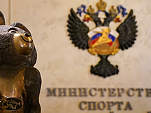 Минспорт предложил изменить принцип формирования сборных команд из-за коронавируса