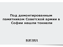 Под демонтированным памятником Советской армии в Софии нашли тоннели