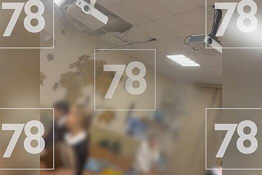 Потолок рухнул во время урока в школе Петербурга и попал на видео