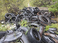 Беспилотники против свалок: без профилактики не обойтись