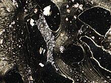 Обнаружены важные для зарождения жизни структуры