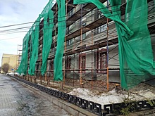 Рязанские урбанисты обратились к мэрии из-за спиленных в центре города голубых елей