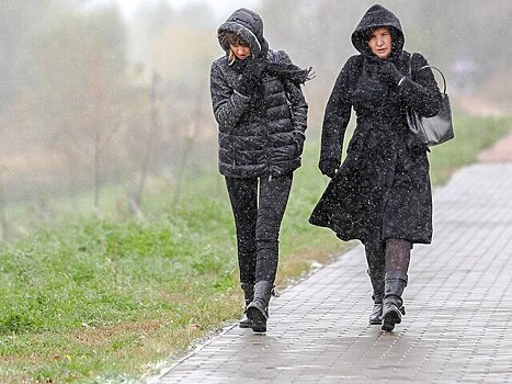 Москвичей предупредили о ливне и сильном ветре вечером понедельника