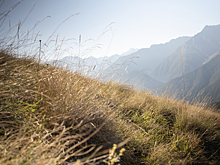 Названы регионы, в которых начали активнее бронировать отели