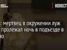 Видео: мертвец в окружении луж крови пролежал ночь в подъезде в Мурино