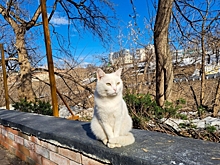 Синоптик рассказала, когда в Нижегородскую область придет потепление