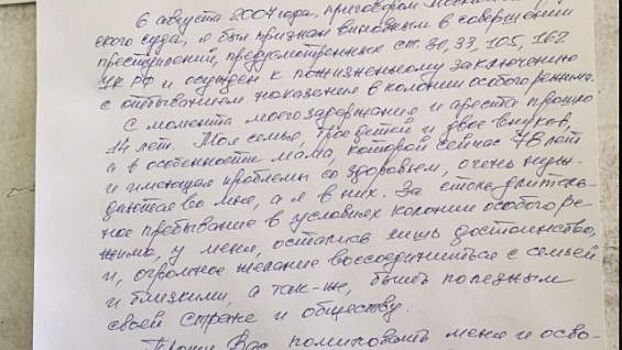 В Сети появилось прошение экс-главы ЮКОСа Пичугина о помиловании