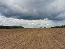 Блюм останется генеральным директором Porsche и Volkswagen