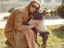 Владельцам собак назвали действительно необходимые вещи для питомца