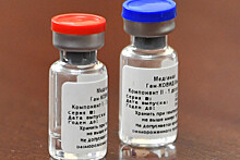 Белоруссия начнет клинические испытания российской вакцины от коронавируса