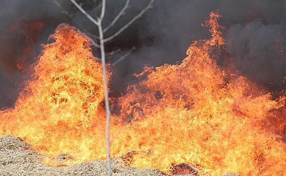 Пожар произошел на нефтезаводе в Белоруссии