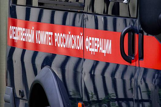 Российский инженер ответит за смертельный удар током школьницы