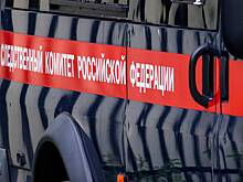 Российский инженер ответит за смертельный удар током школьницы